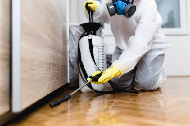 Best Termite Control Services  in Montrose, VA