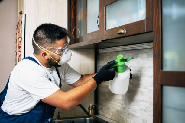Best Emergency Pest Control  in Montrose, VA