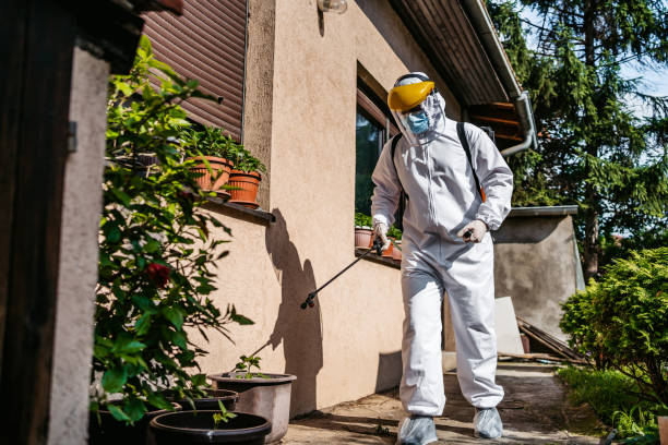 Best Wasp Removal Services  in Montrose, VA