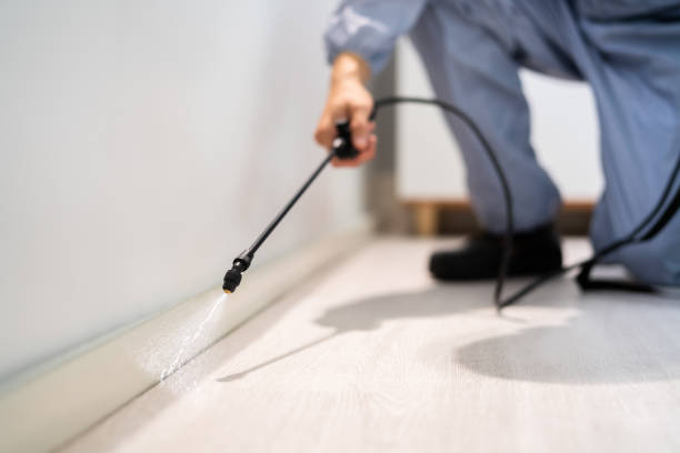 Best Local Pest Control Services  in Montrose, VA