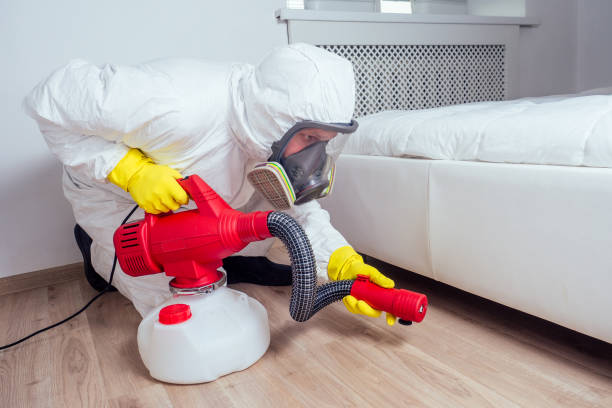 Best Affordable Pest Control Services  in Montrose, VA