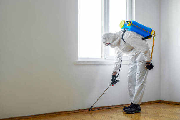 Best Rat Extermination Near Me  in Montrose, VA