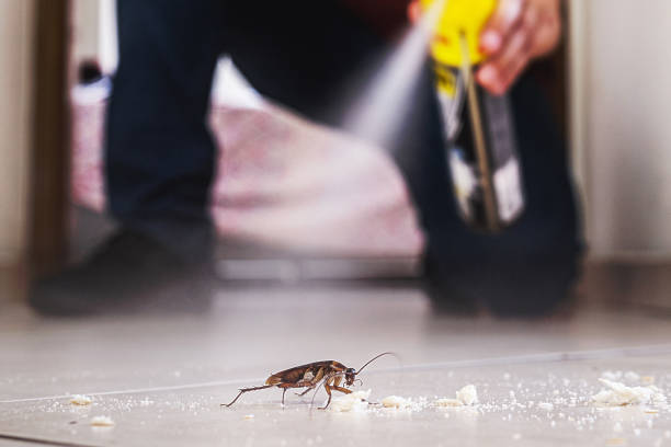 Best Emergency Pest Control  in Montrose, VA